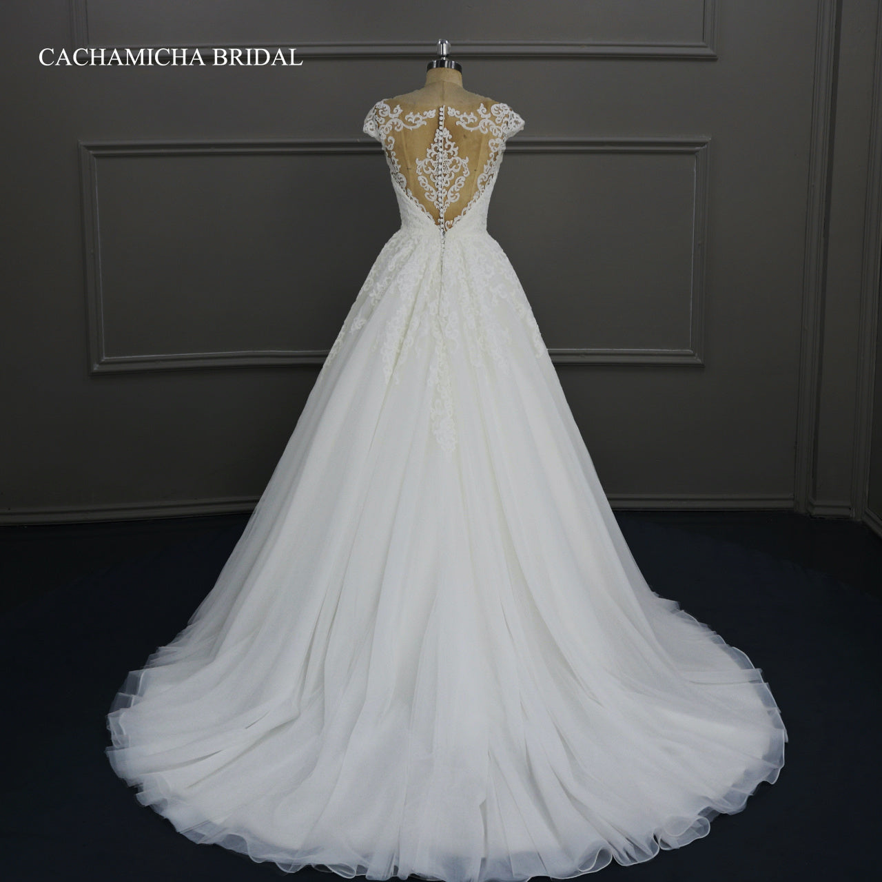 Illusion Back Cap Sleeves Lace Ball Gown Wedding Dress DW33
